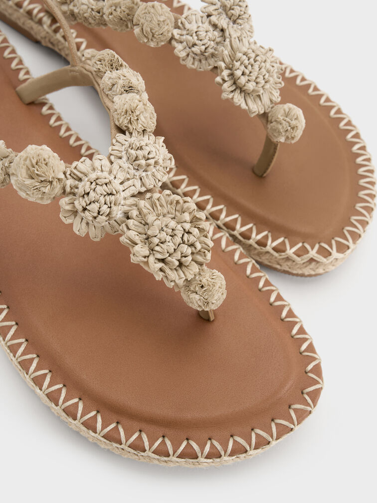 , C&aacute;t, hi-res