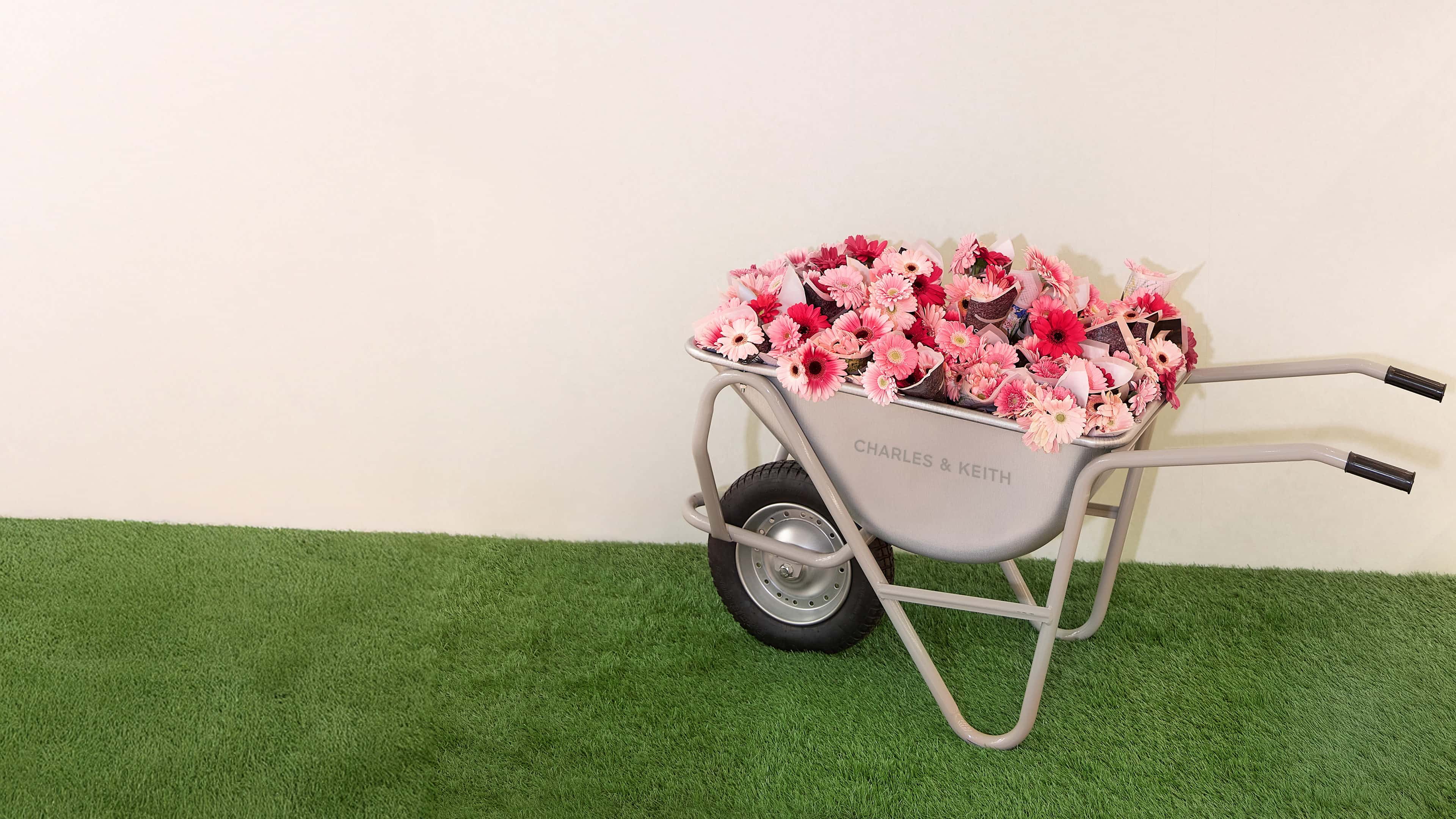 SPRING 26 CAMPAIGN - CHARLES & KEITH