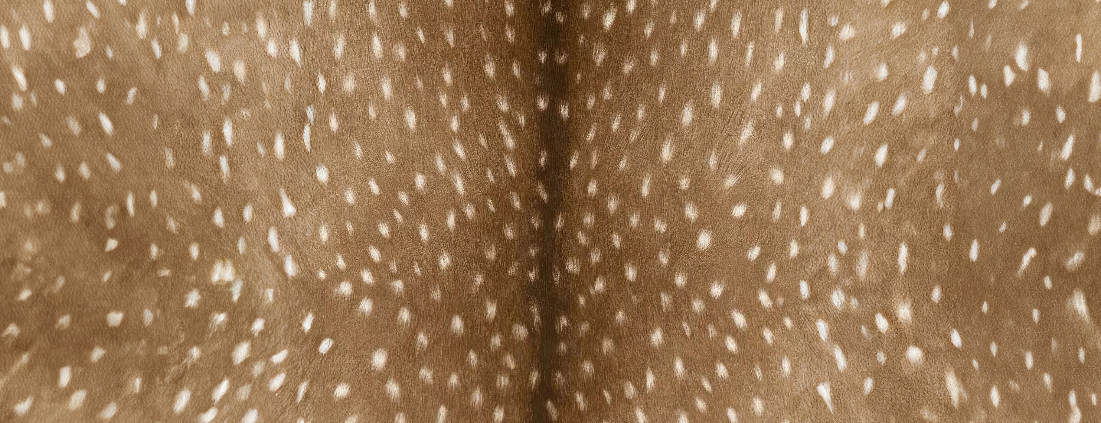 Lorem ipsum dolor - CHARLES & KEITH